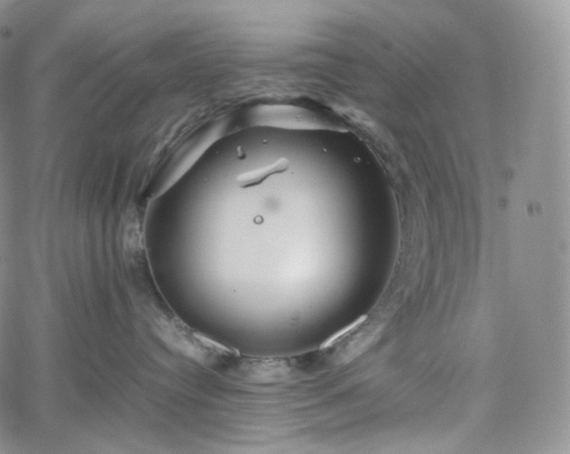 X0000062170384200512091436