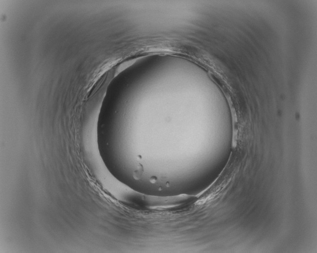 X0000062170385200512091435