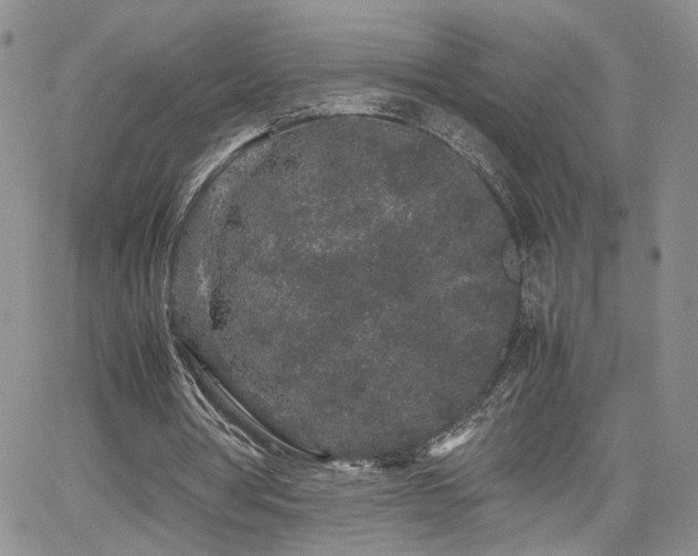 X0000062170386200512091435