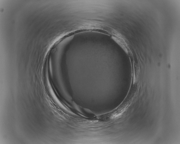 X0000062170387200512091435