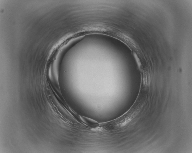 X0000062170388200512091435