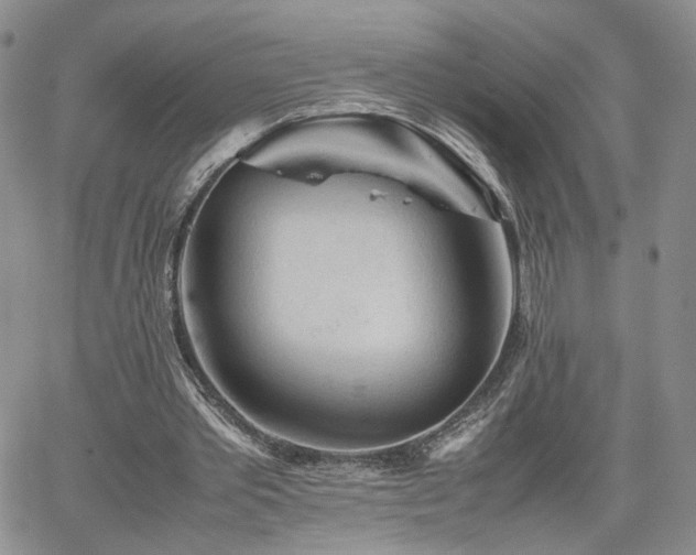 X0000062170389200512091435