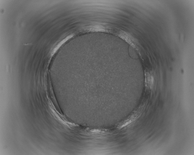 X0000062170390200512091435