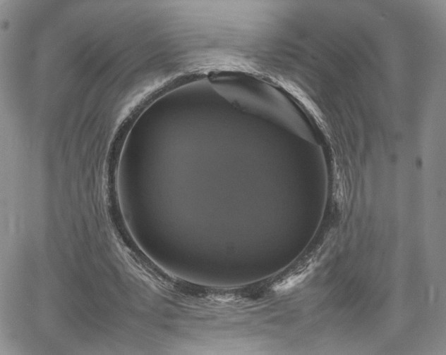 X0000062170391200512091435