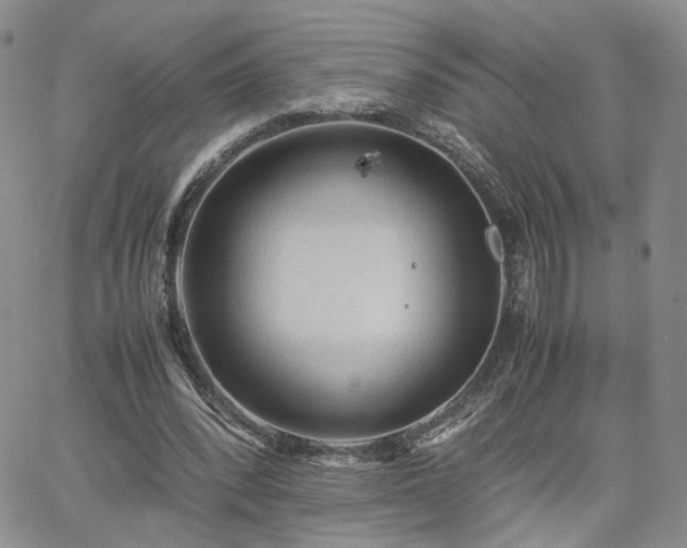 X0000062170392200512091435