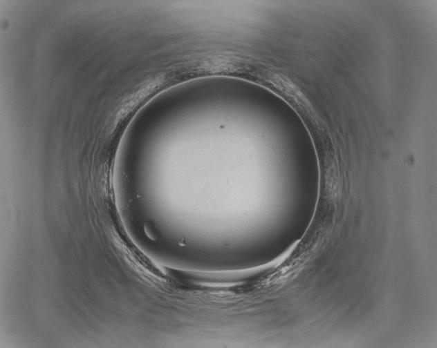 X0000062170393200512091435