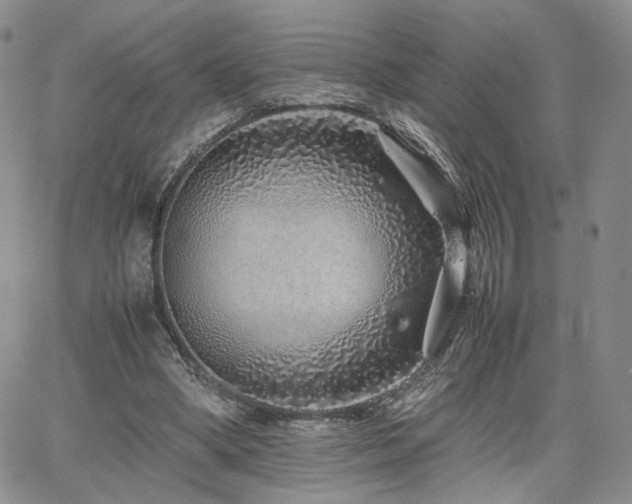 X0000062170394200512091435