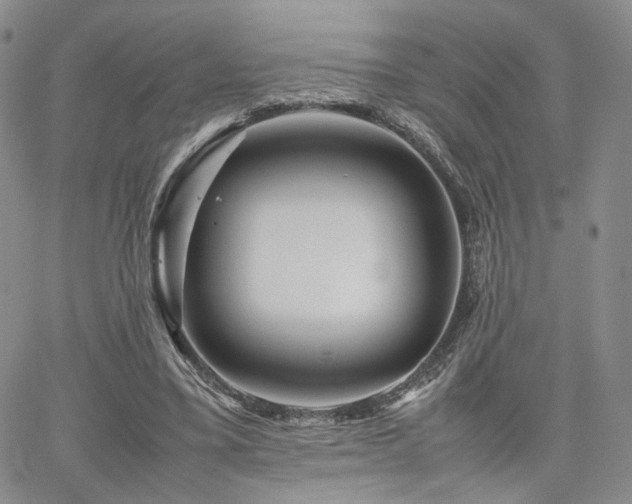 X0000062170395200512091435