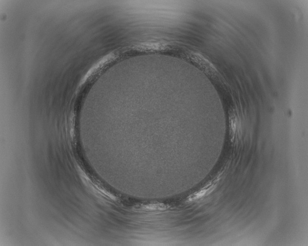 X0000062170396200512091435