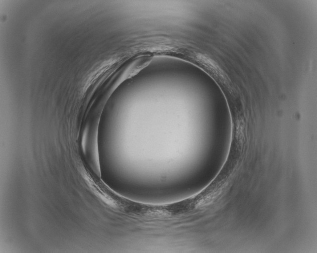 X0000062170397200512091435