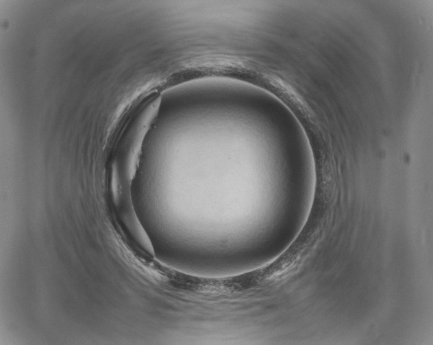 X0000062170399200512091435