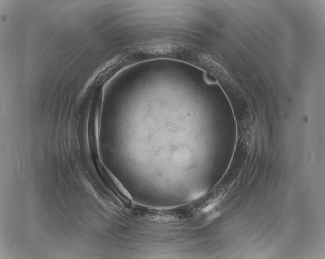 X0000062170400200512091435