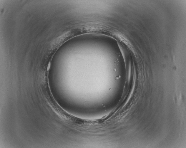 X0000062170401200512091435