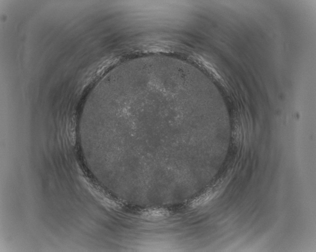 X0000062170402200512091435