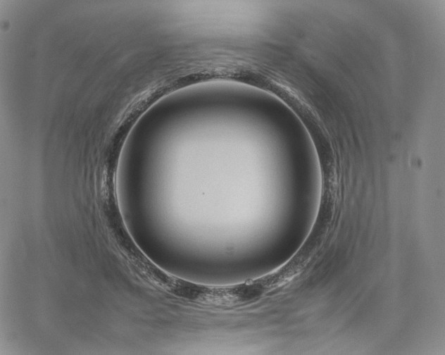 X0000062170403200512091435