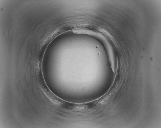 X0000062170405200512091435