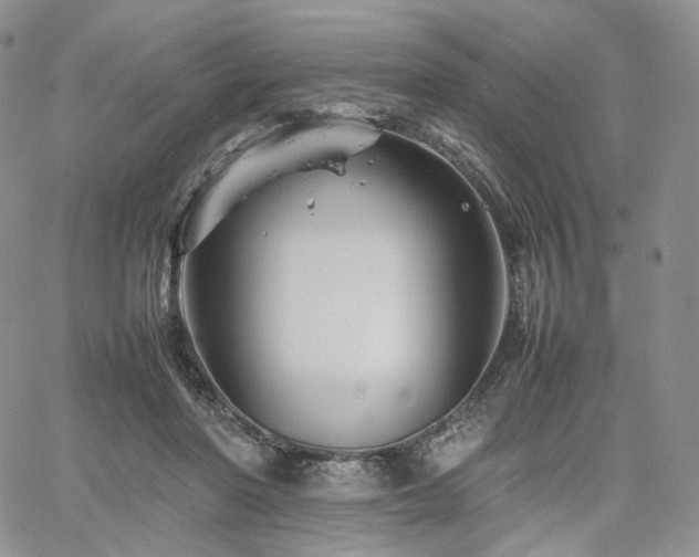 X0000062170406200512091435