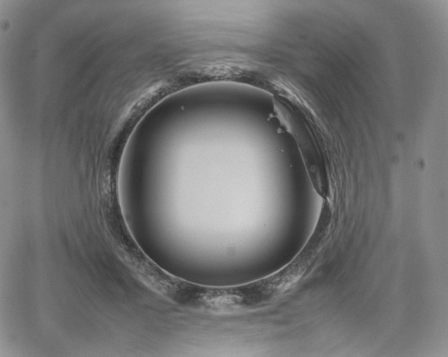 X0000062170407200512091435