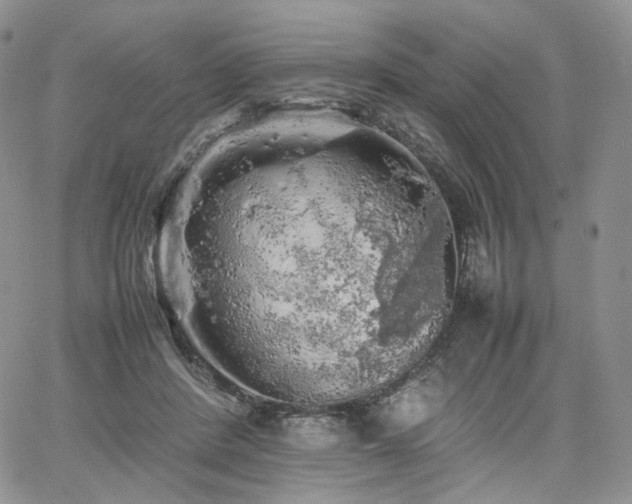 X0000062170408200512091435