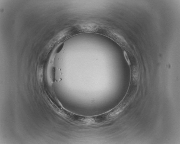 X0000062170409200512091435