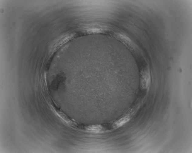 X0000062170410200512091435