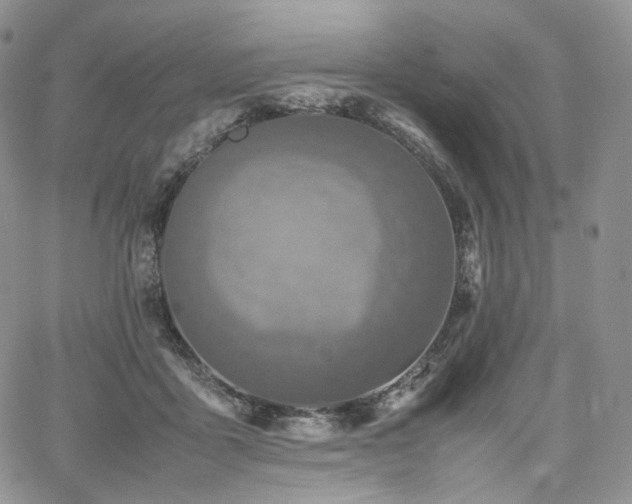 X0000062170411200512091435