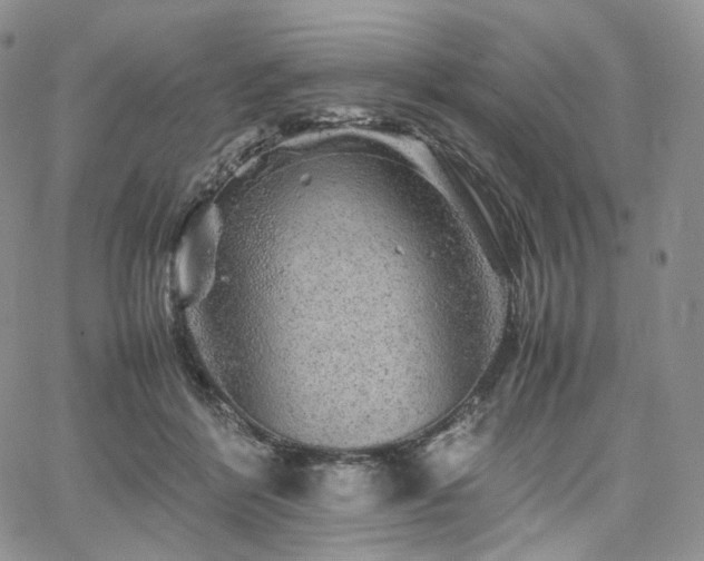 X0000062170412200512091435