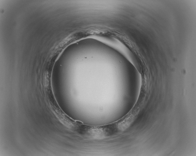 X0000062170413200512091435