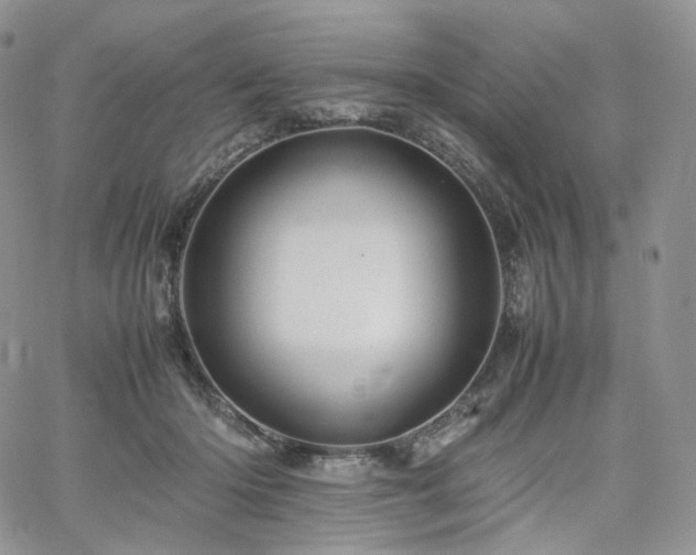 X0000062170414200512091435