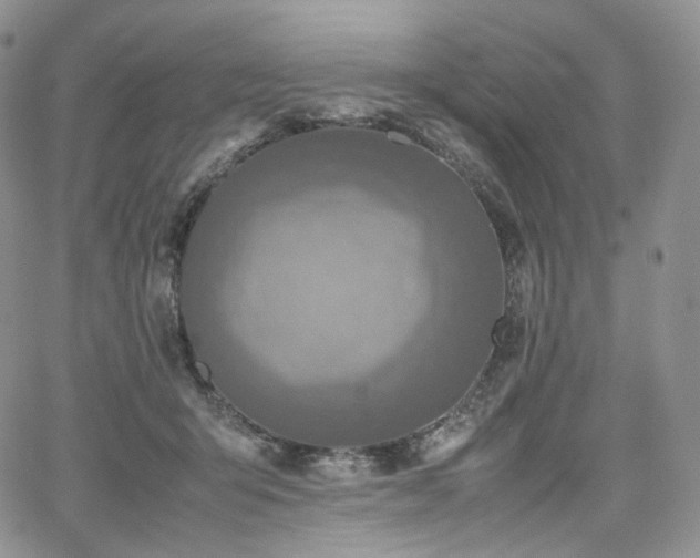 X0000062170415200512091435