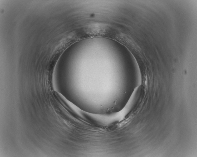 X0000062170416200512091435