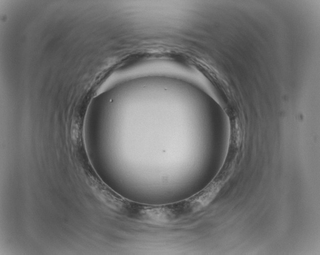 X0000062170417200512091435