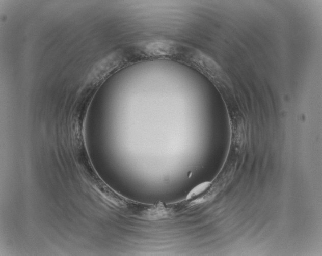 X0000062170418200512091435