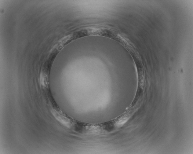 X0000062170419200512091435