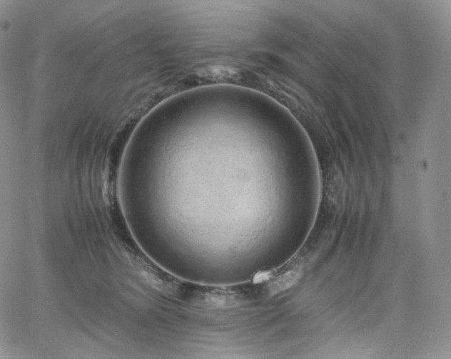 X0000062170420200512091435