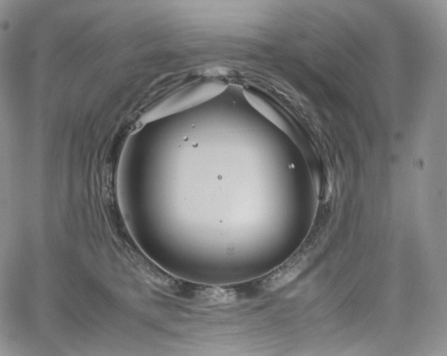 X0000062170421200512091435