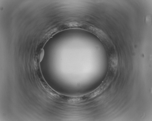 X0000062170422200512091435