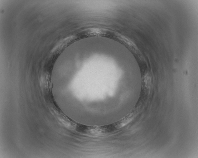 X0000062170423200512091435