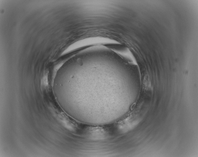 X0000062170424200512091435