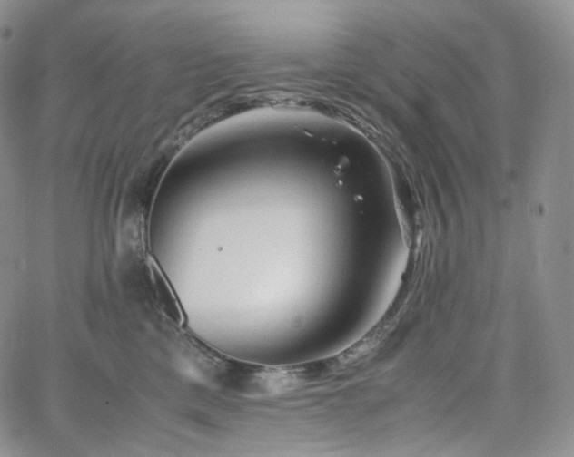 X0000062170425200512091435