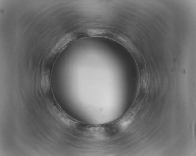 X0000062170426200512091435