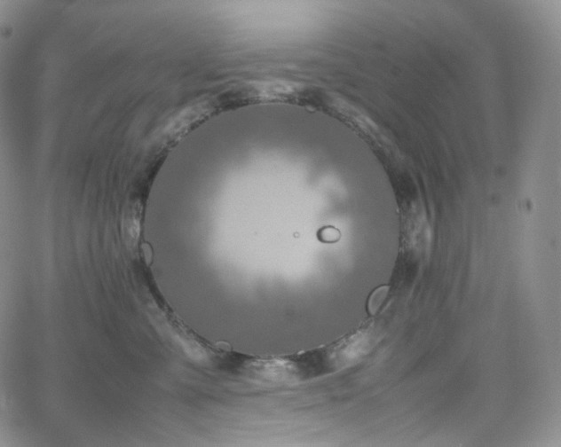 X0000062170427200512091435