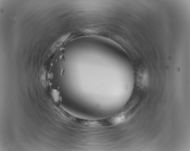 X0000062170428200512091435