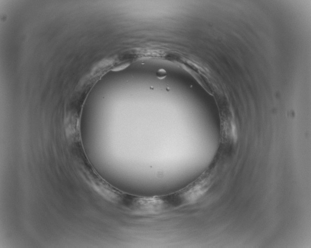 X0000062170429200512091435