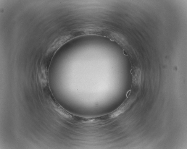 X0000062170430200512091435