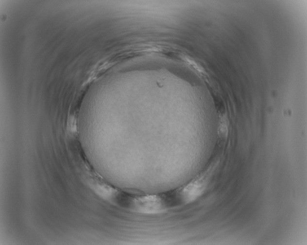 X0000062170431200512091435