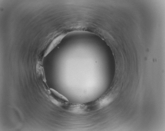 X0000062170432200512091435