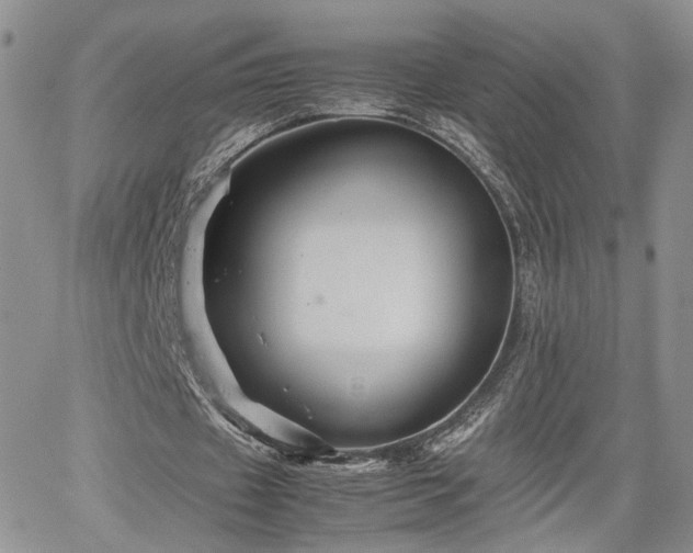 X0000062170433200512091434