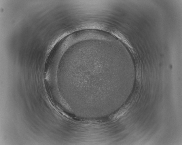 X0000062170434200512091434