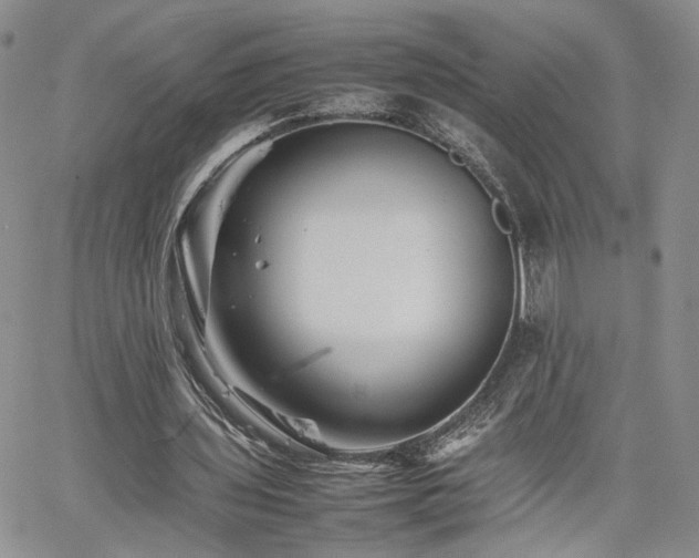 X0000062170435200512091434